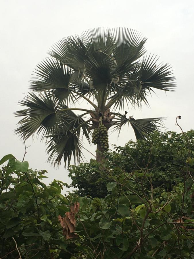 Karamba Lodge Kafountine Eksteriør billede